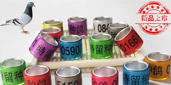 南乐县翎翔电子商务有限公司