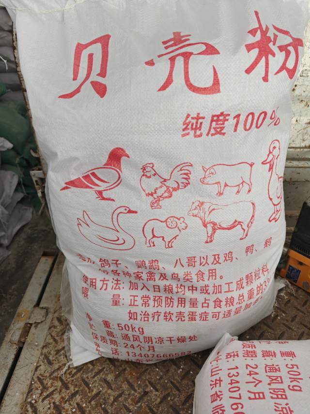 贝壳粉 百分百纯海贝